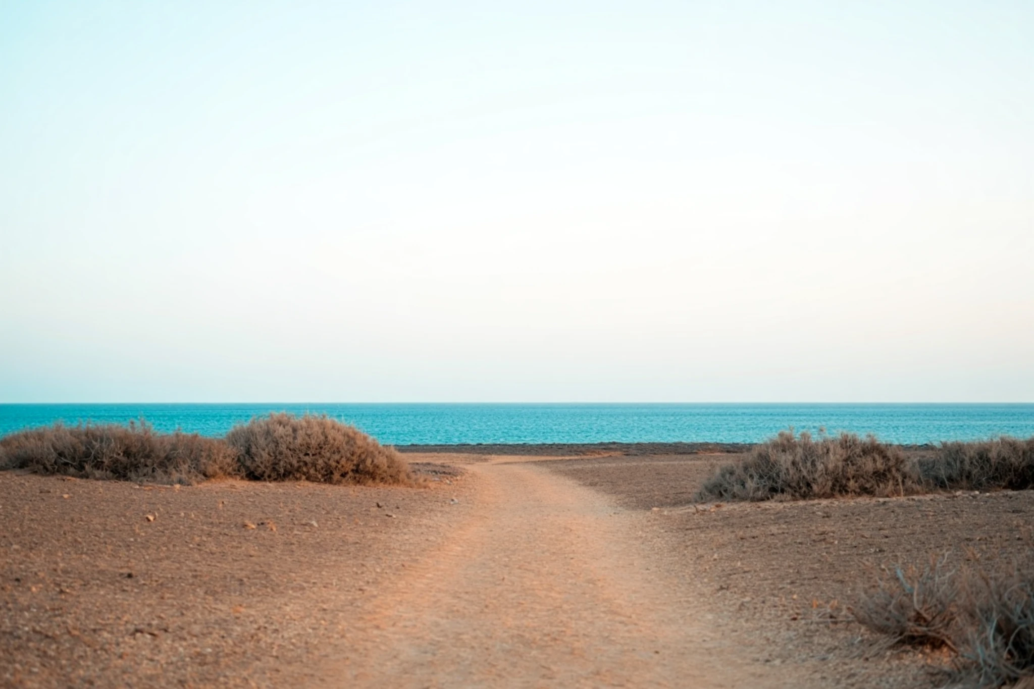 fuerteventura-coastal-landscape-ocean-path