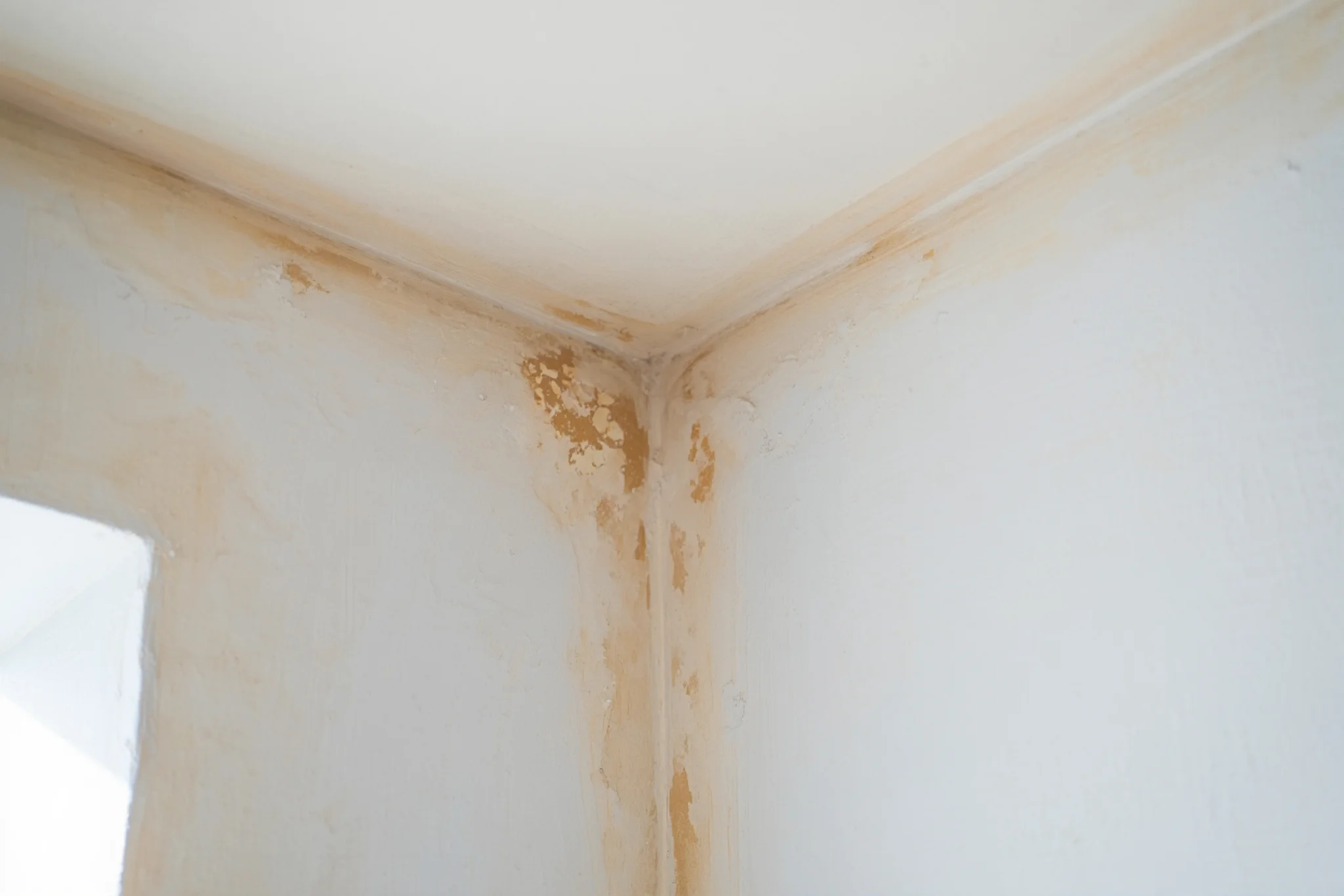 humedad-infiltracion-pared-interior